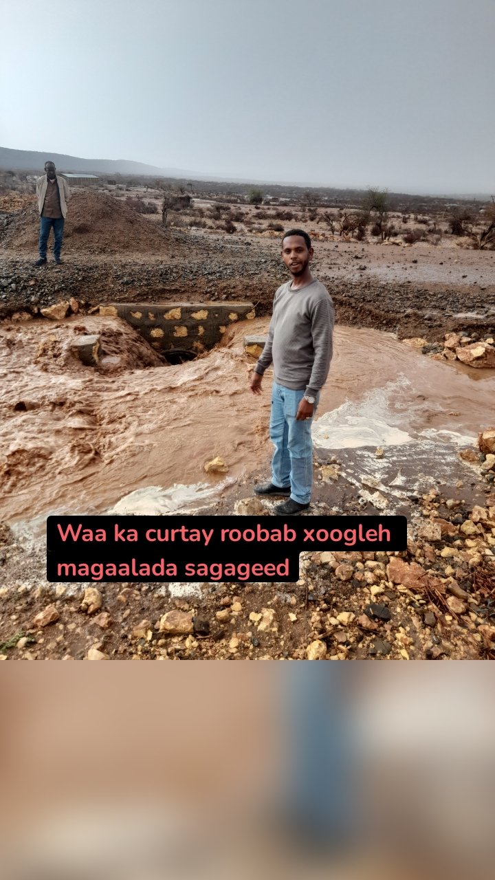 Waa ka curtay roobab xoogleh magaalada sagageed