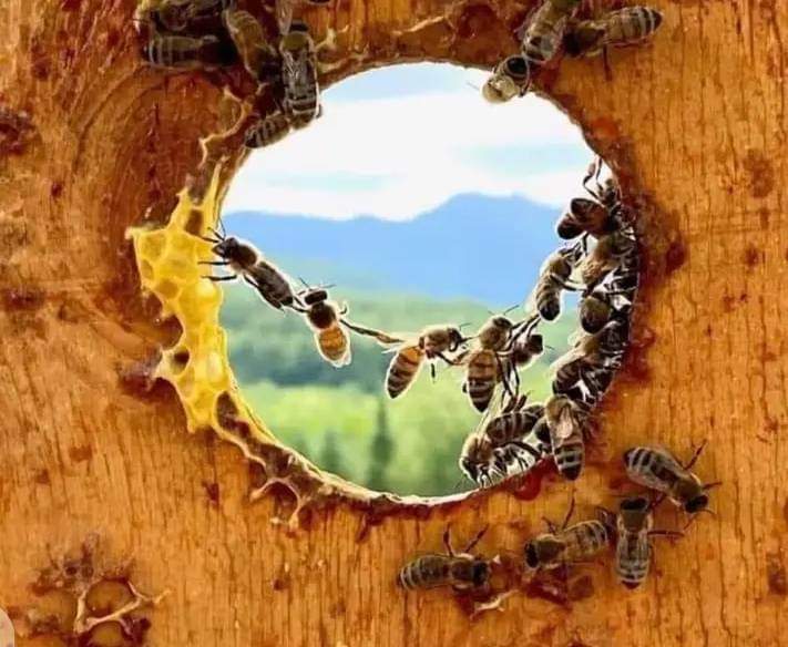 Xaqiiqooyin aanad ka ogayn&nbsp;quraanka